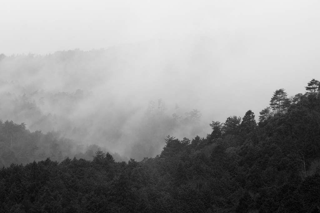 煙霧