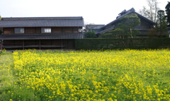 安曇野の春
