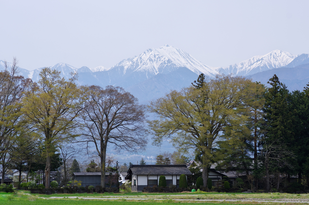 安曇野－残雪の常念岳－