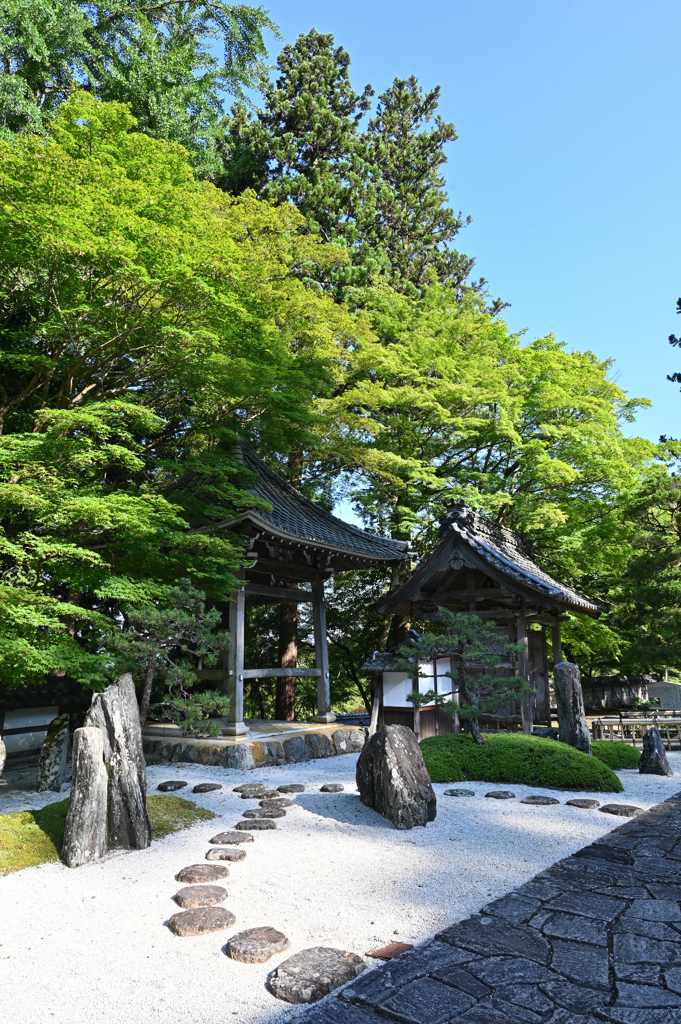 真夏の枯山水庭園2