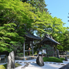 真夏の枯山水庭園2