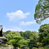 醍醐寺三宝院庭園2