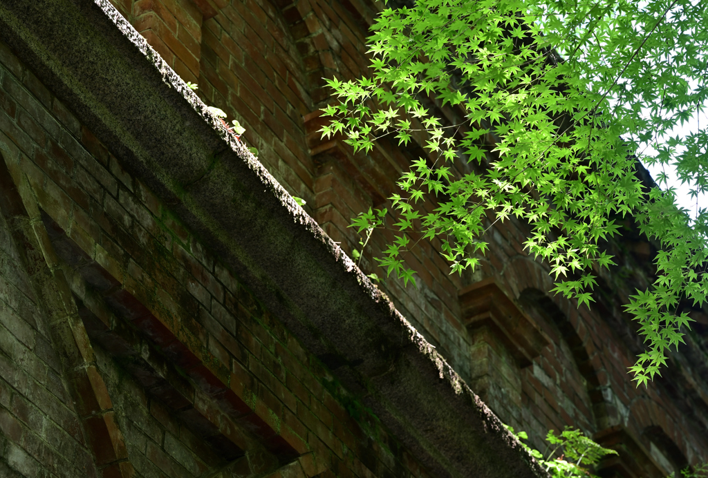 新緑の南禅寺2