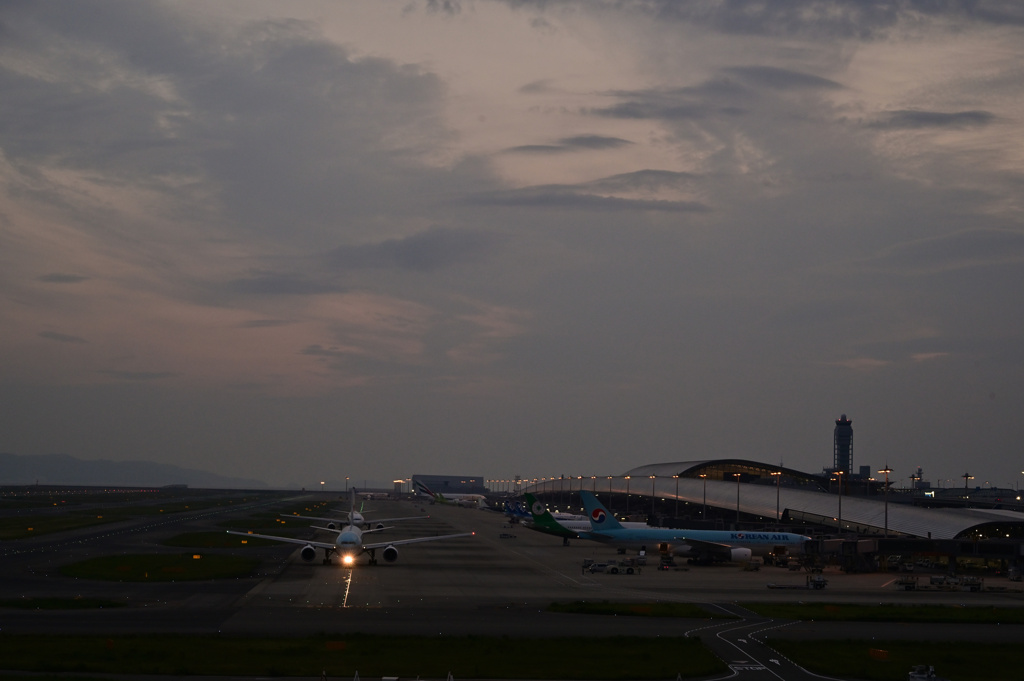 くれなずむ空港