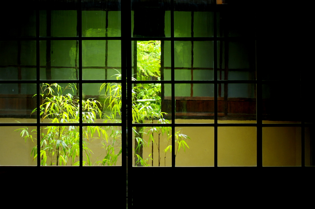 雨の格子戸　