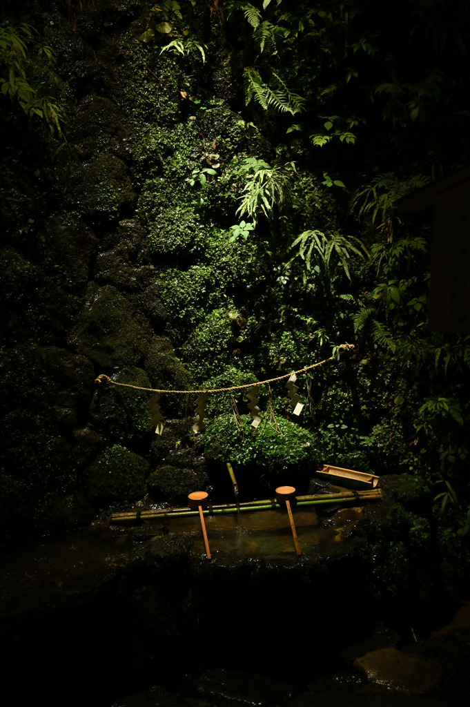 夜の貴船神社　御神水