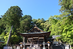 五月晴れの日牟禮八幡宮　