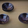 哲学の道散歩１