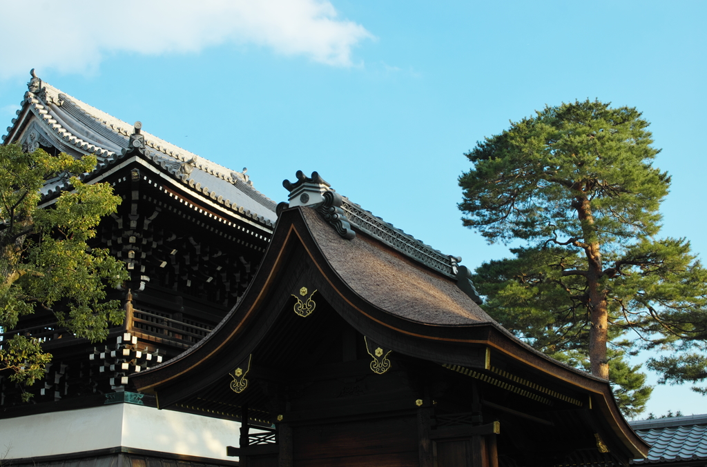 相国寺にて