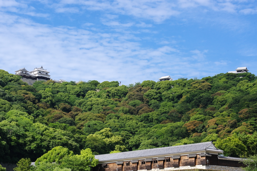 城山　