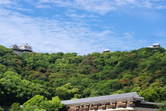 城山　