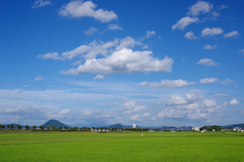 夏空