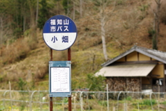 ローカルバス路線乗り継ぎの旅？