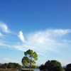 sky  blue