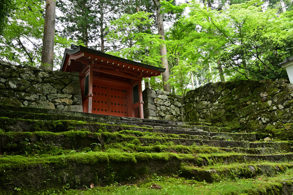 三千院　雨の朱雀門