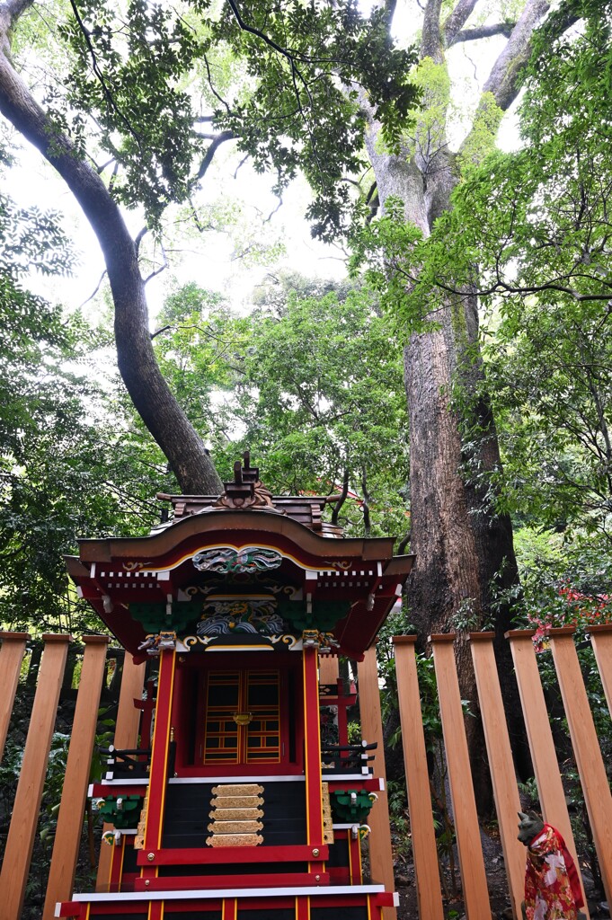来宮神社１