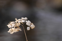 もうすぐ春なのに