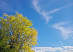 秋彩の天空