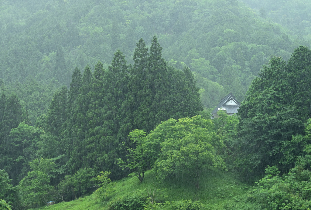 雨中の一軒家