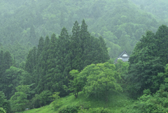 雨中の一軒家