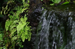 箱庭の滝　ひっそりと