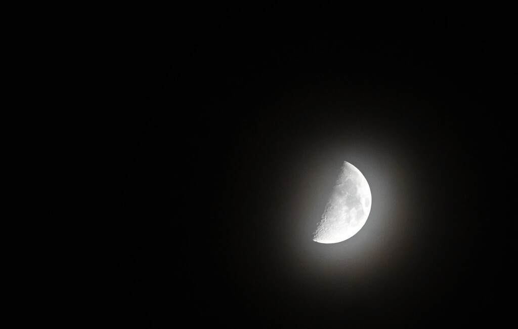 夜のお月さま　朧月