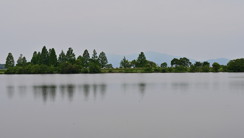 朦湖3