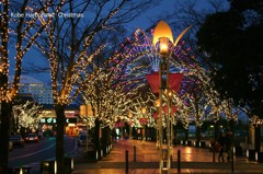Kobe Harborland　Christmas