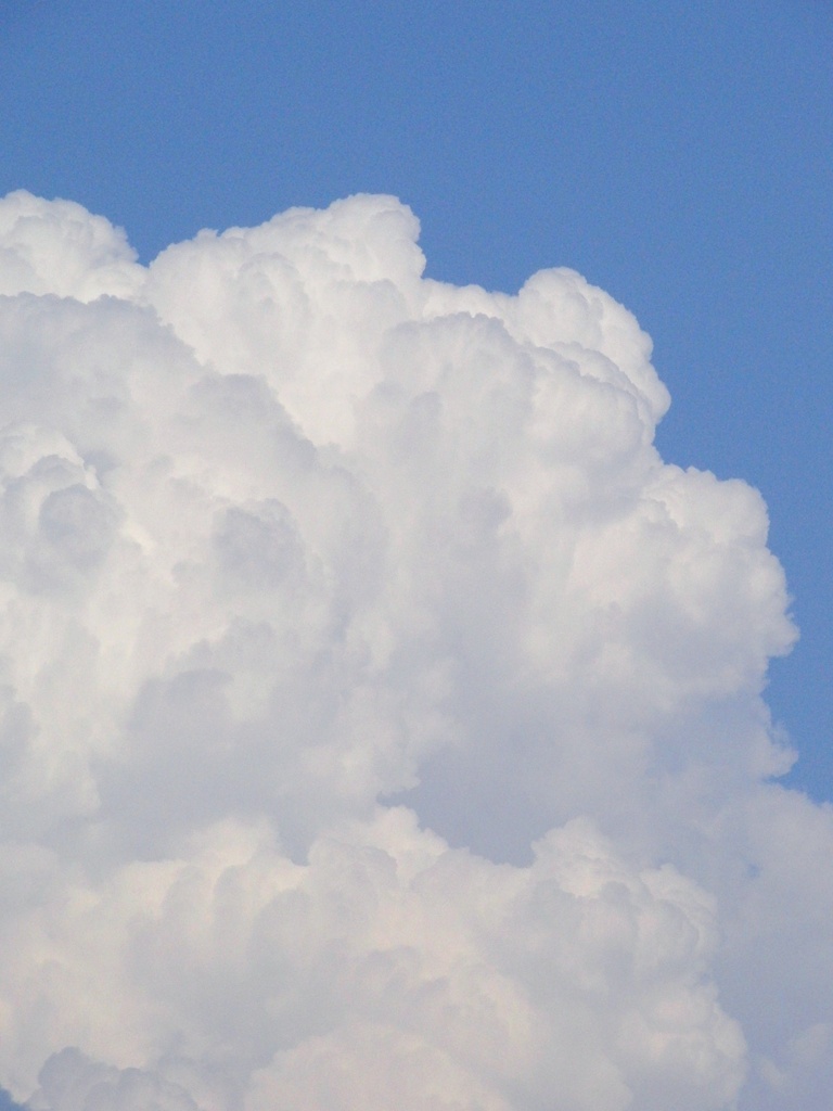 ある夏の日の雲