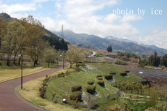 のどかな風景