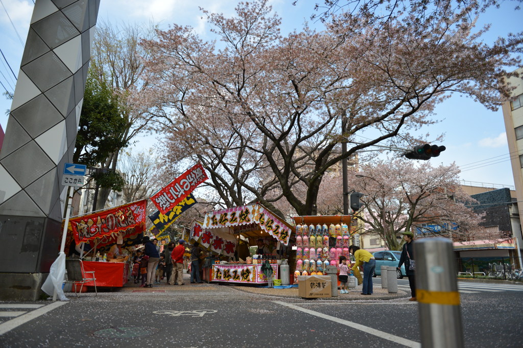 桜祭り