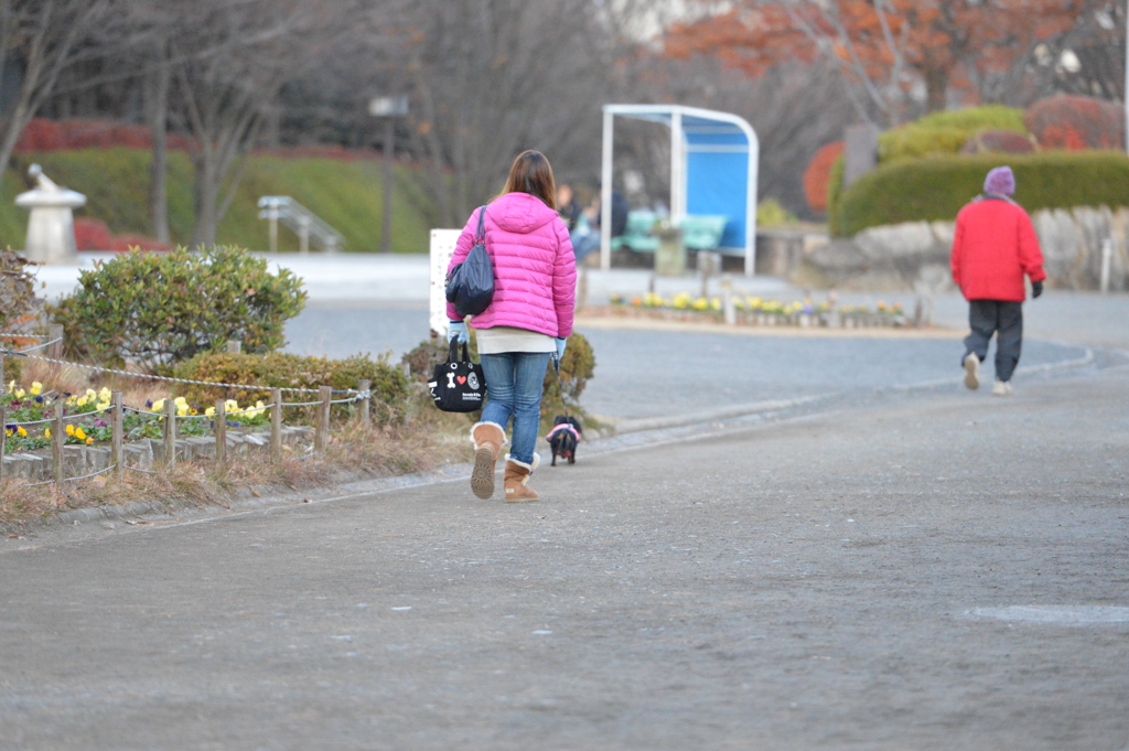 冬の公園の一コマ