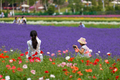 色彩の記憶