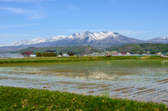 富良野岳