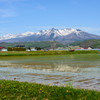 富良野岳
