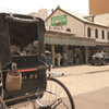 鎌倉の旅