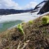 大雪湖の春