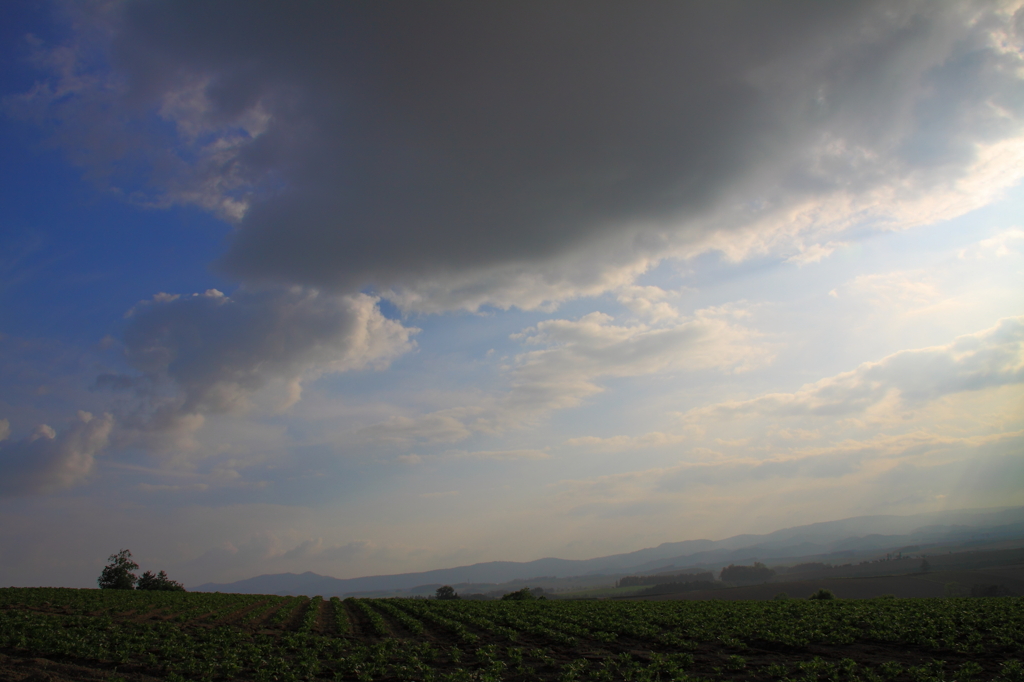 雲の下