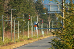 な～んだ・・！