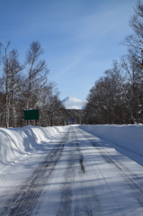 旭岳を望む白樺街道