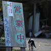 招かざる者