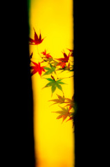 切れ間