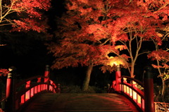 紅