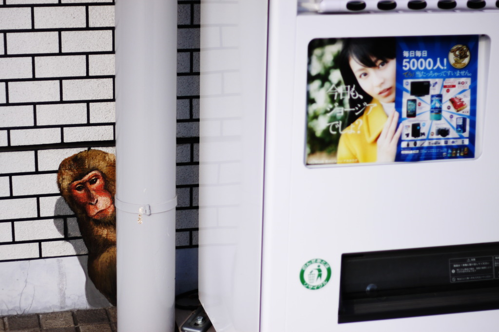 ふたり？でかくれんぼ！？