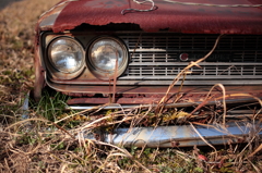 ＴＯＹＯＰＥＴ