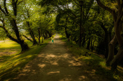 散歩道