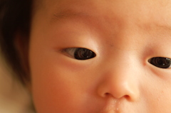 グルグルグル♪