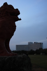 小鳥