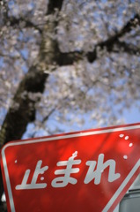 ｈａｎａｂｉｒａ止ーまれ！