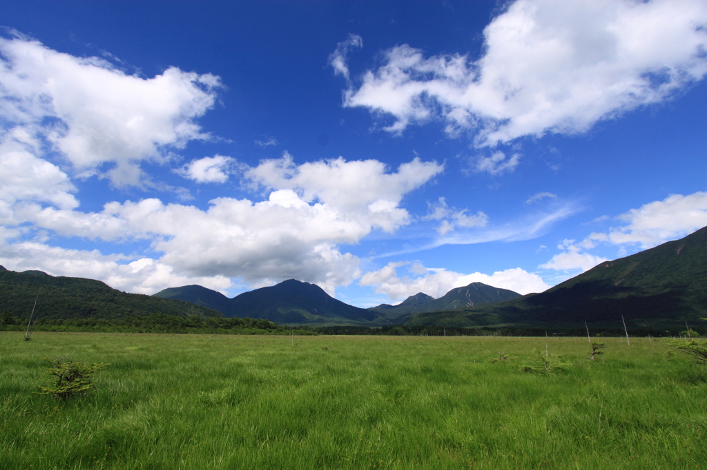 夏の日の思い出